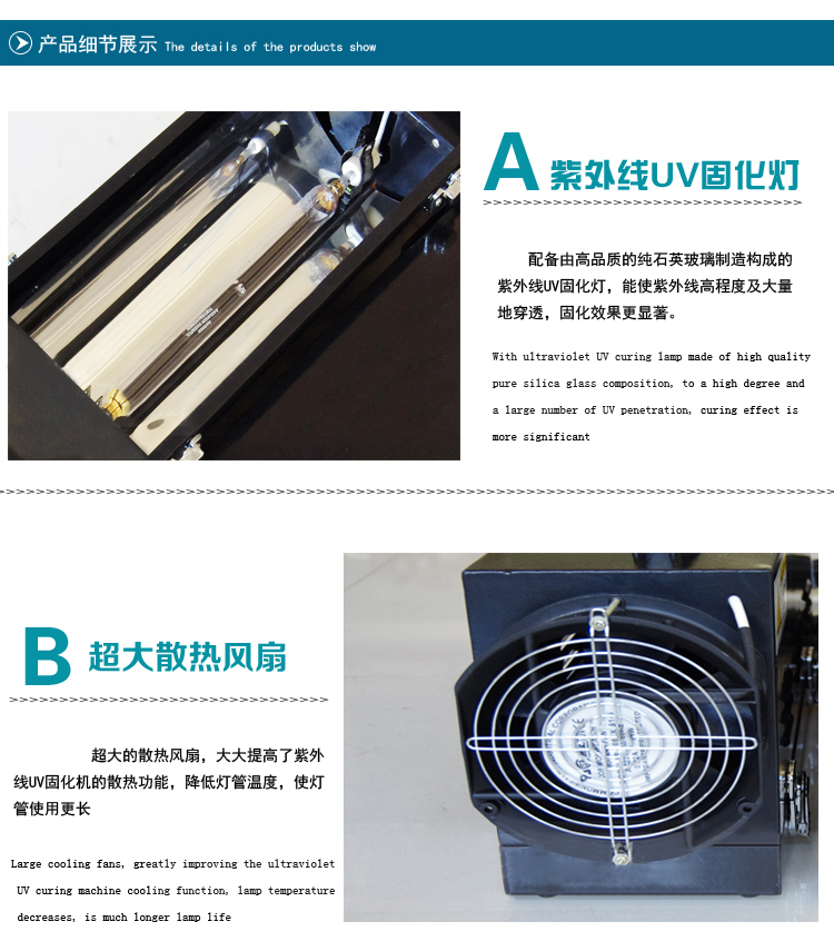 Universal UV Curing Machine